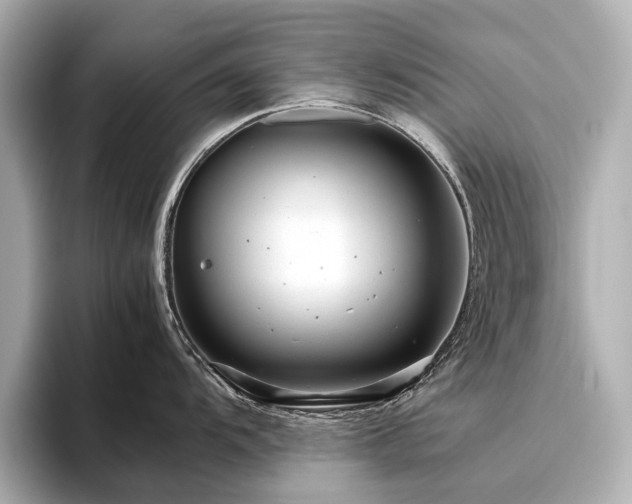 X0000096481104200801241439