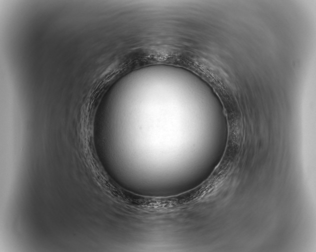 X0000096481105200801241439