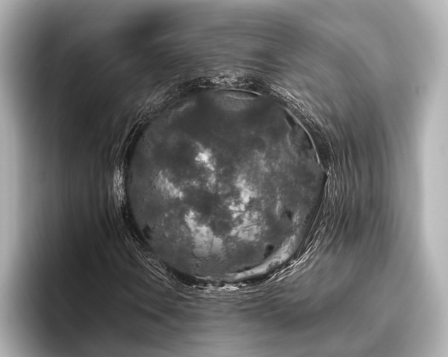 X0000096481106200801241439