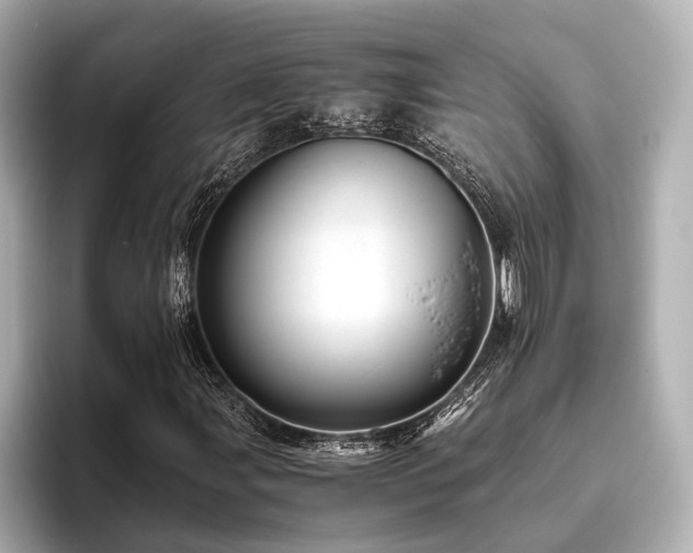 X0000096481107200801241439