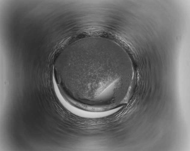 X0000096481108200801241439