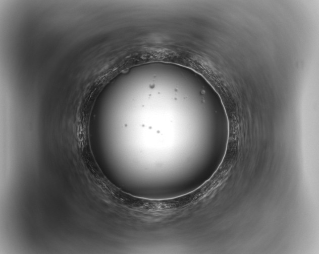 X0000096481109200801241439