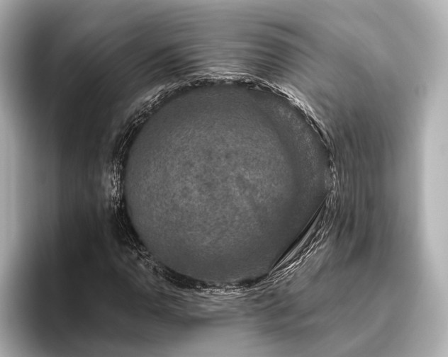 X0000096481110200801241439