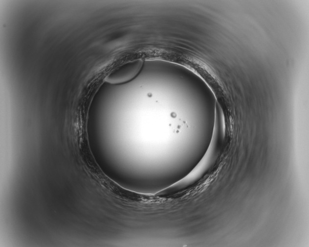 X0000096481111200801241439