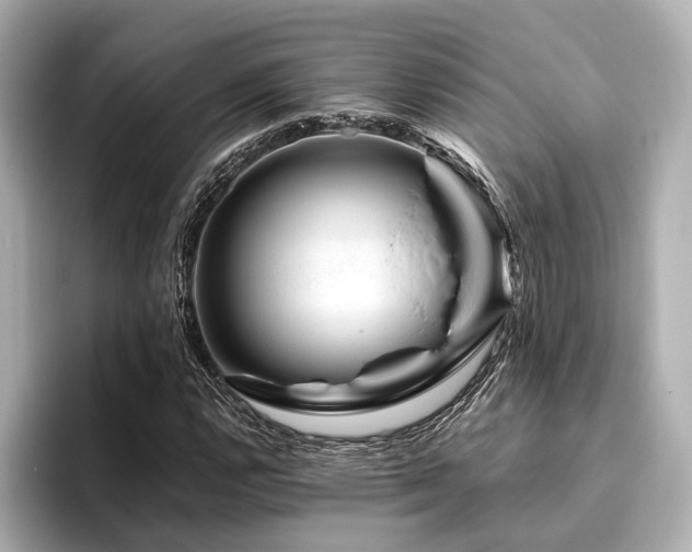 X0000096481112200801241439