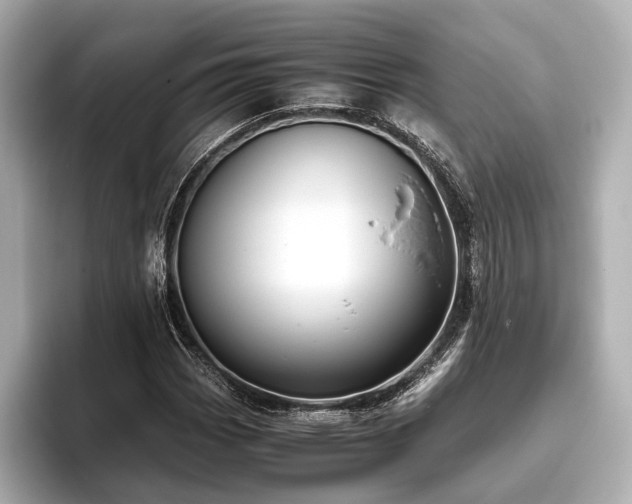 X0000096481113200801241439