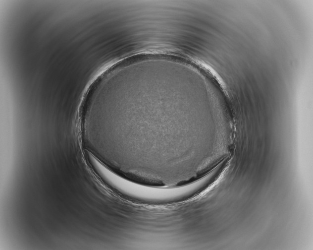 X0000096481114200801241439