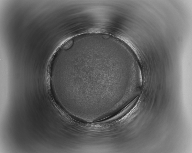 X0000096481115200801241439