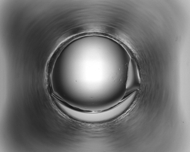 X0000096481116200801241439