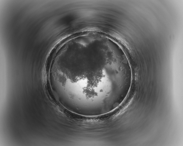 X0000096481117200801241439