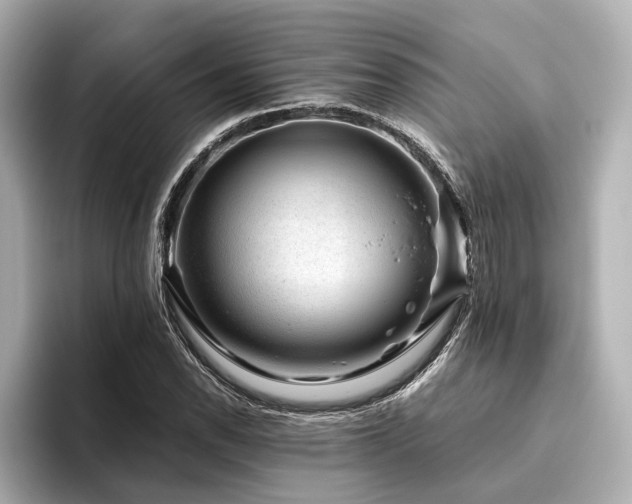 X0000096481118200801241439