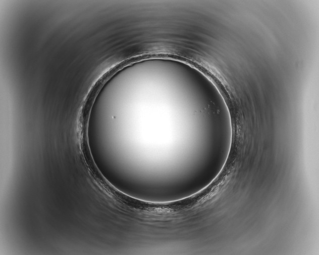 X0000096481119200801241439