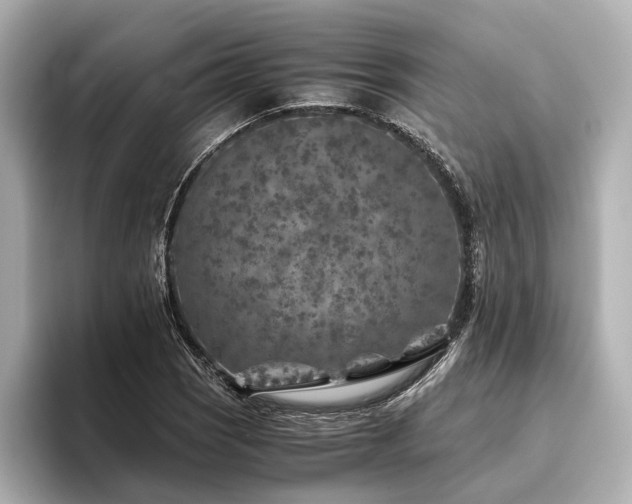 X0000096481121200801241439