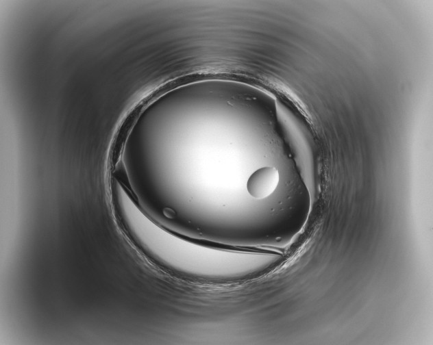 X0000096481122200801241439