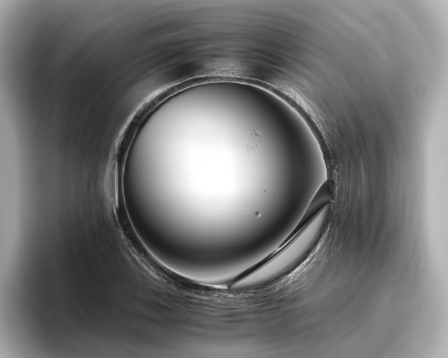 X0000096481123200801241439