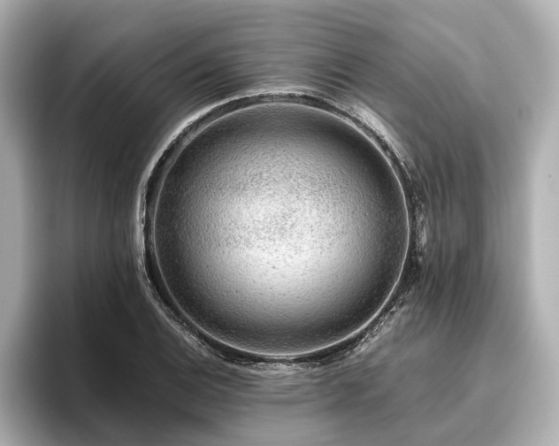 X0000096481124200801241439