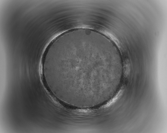 X0000096481125200801241439