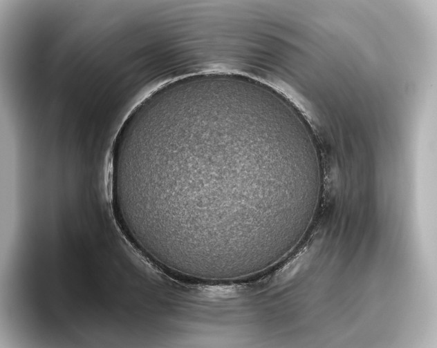 X0000096481126200801241439