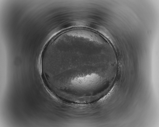 X0000096481127200801241439