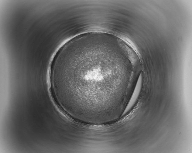 X0000096481128200801241439