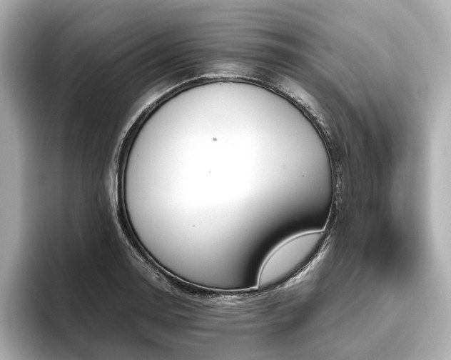 X0000096481130200801241439