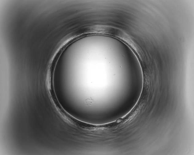 X0000096481131200801241439