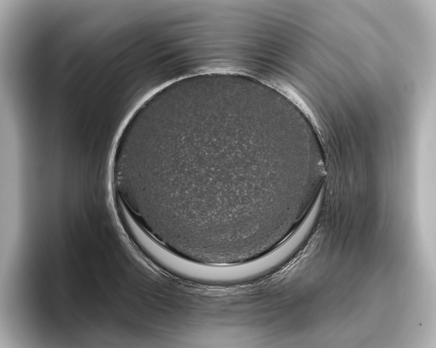 X0000096481132200801241439