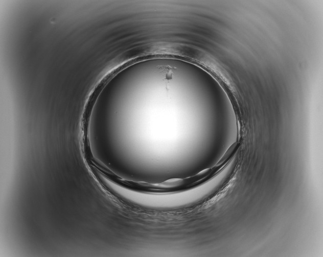 X0000096481133200801241439