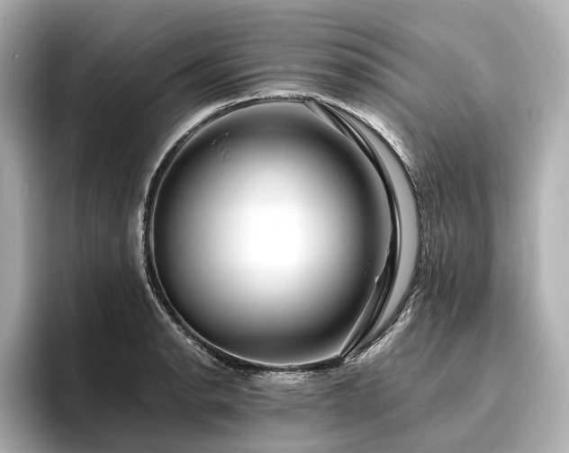 X0000096481134200801241439