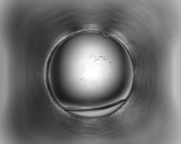 X0000096481135200801241439