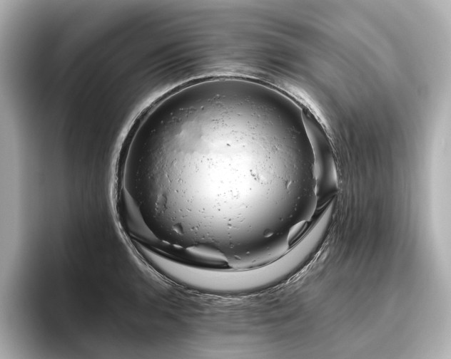 X0000096481136200801241439