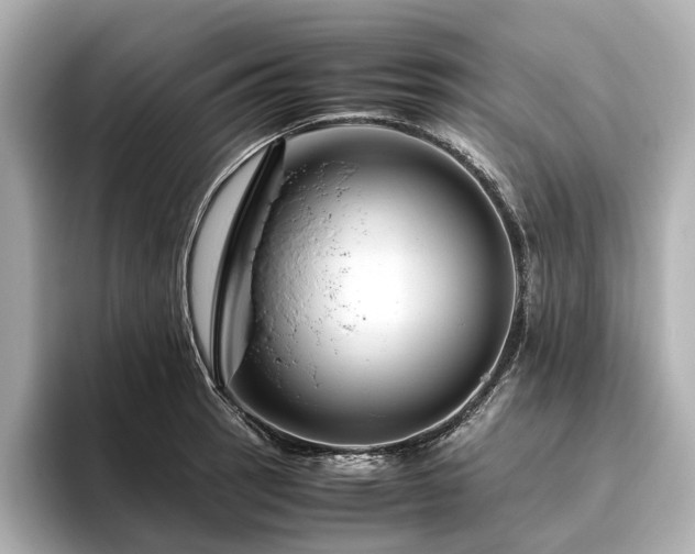 X0000096481137200801241439