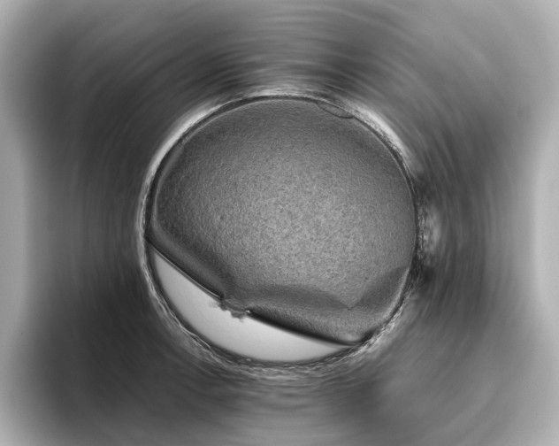 X0000096481138200801241439