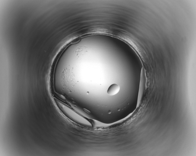 X0000096481139200801241439