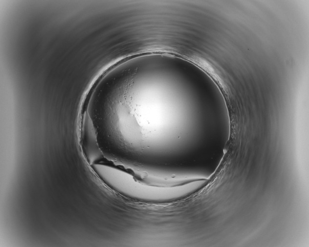 X0000096481140200801241439