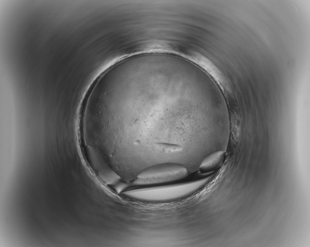 X0000096481142200801241439