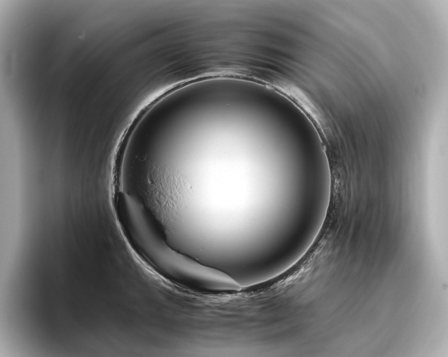 X0000096481143200801241439