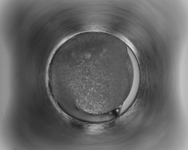 X0000096481144200801241439