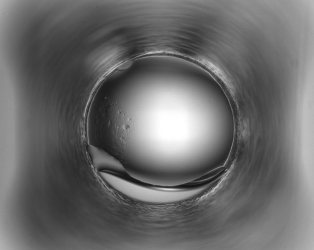 X0000096481145200801241439