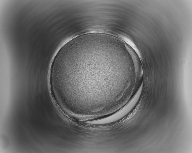 X0000096481146200801241439