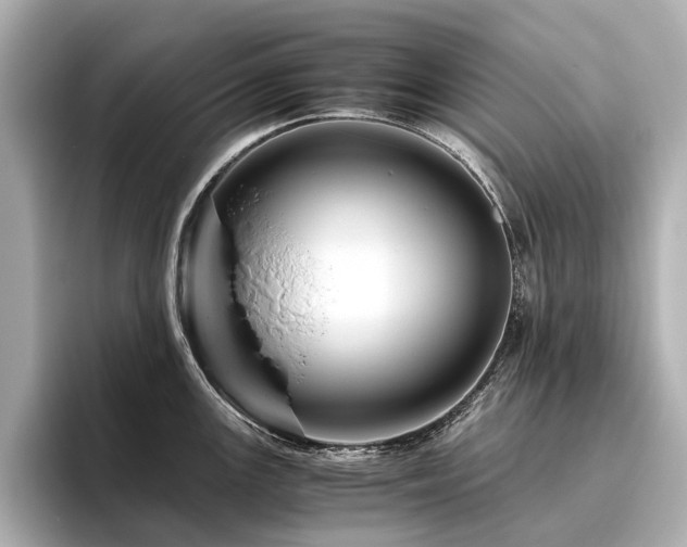 X0000096481147200801241439