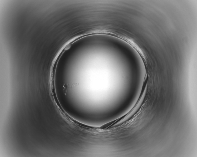 X0000096481148200801241439