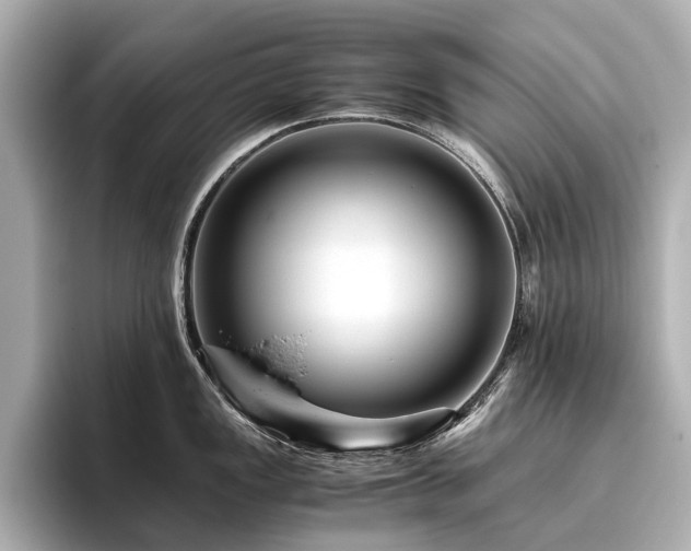 X0000096481149200801241439