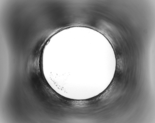 X0000096481150200801241439