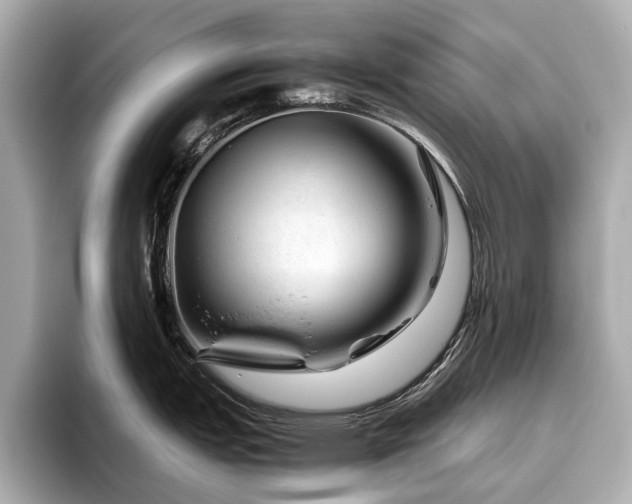 X0000096481151200801241439