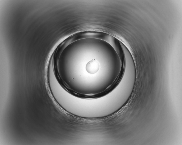 X0000096481152200801241439