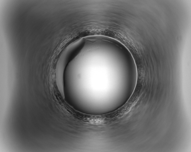 X0000096481153200801241439