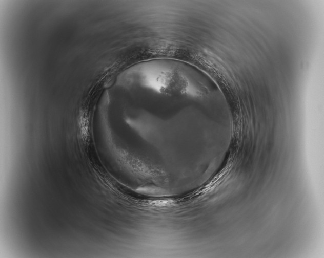 X0000096481154200801241439