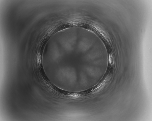 X0000096481155200801241439