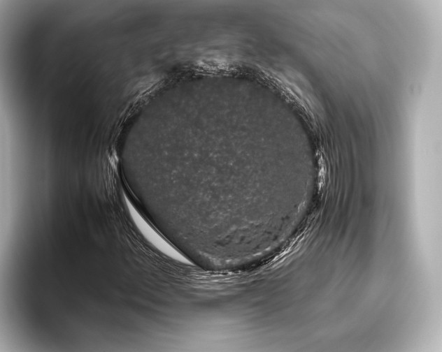 X0000096481156200801241438